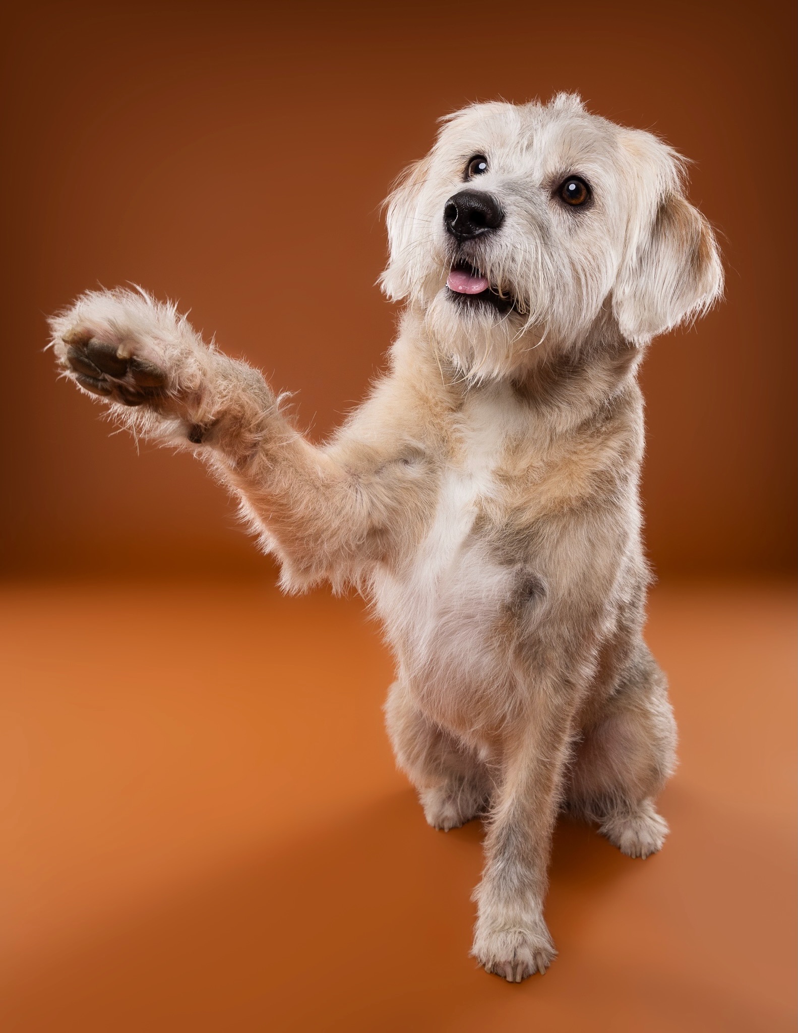 Milou FINALS-18