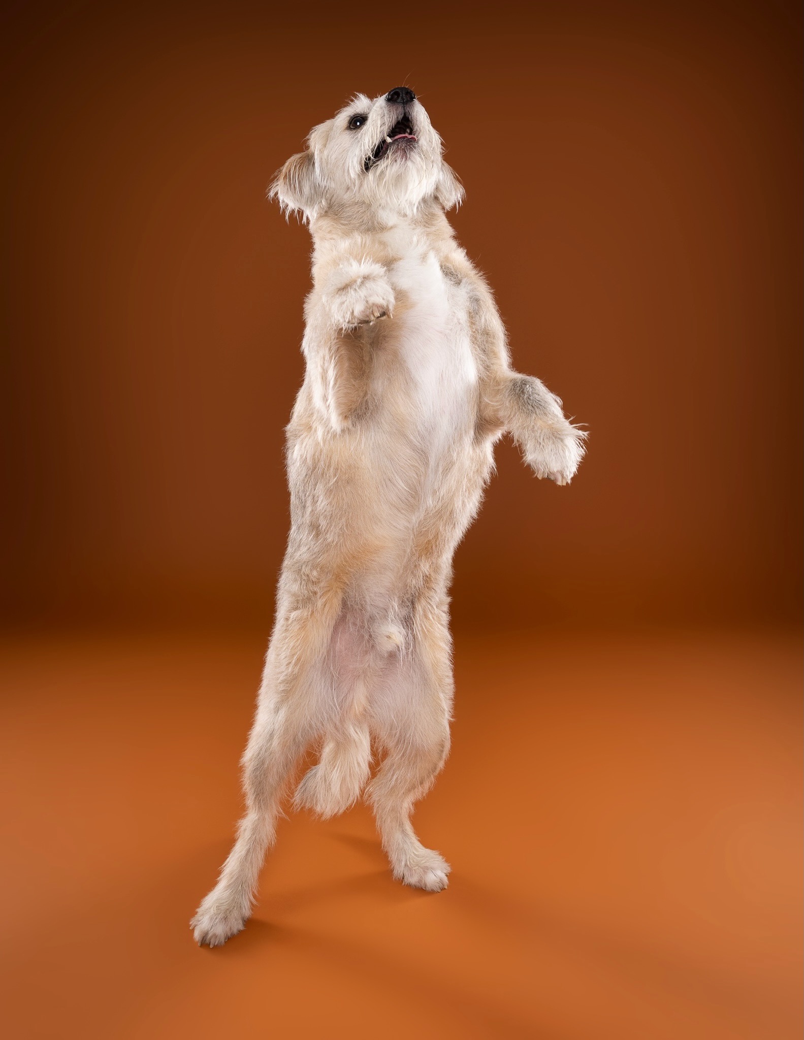 Milou FINALS-29